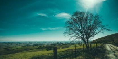 心声|听听这些过来人心声，2020高考还敢选错专业吗？