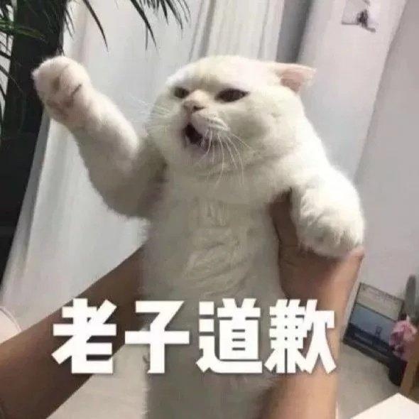 0b28c24a63c84134b673188959ed7c1d.jpeg