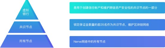 Nerve|一文读懂跨链新星Nerve的优势与想象空间