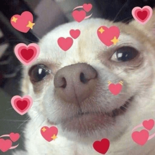 木村|千万销售额女神助力杨木村 村民直播成绩斐然