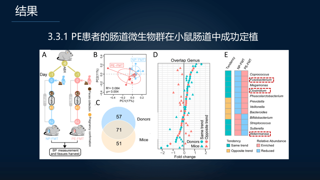 疾病|周宏伟：面对高致命孕期疾病，我们如何在肠道找到突破口？