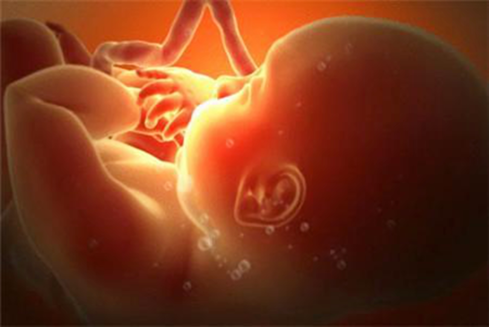 原创胎儿在孕肚中会感到恐惧吗?3d模拟图告诉你,生命的探索已经开始