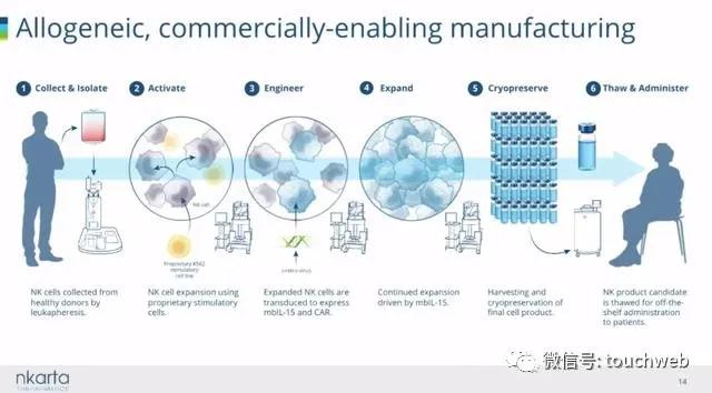 美国|细胞疗法企业Nkarta美国上市：涨166% 市值14亿美元