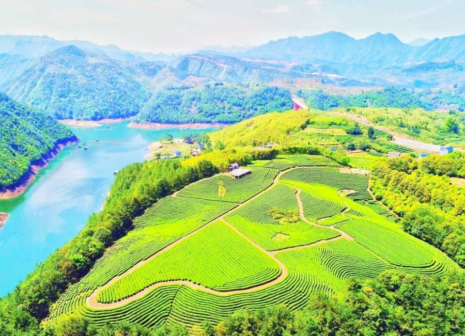 在丽水,遇见宫崎骏的夏天……_景宁