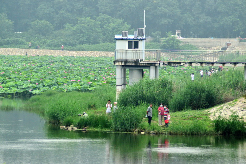 原创北京的沙河水库,再走一段温榆河(昌平段)