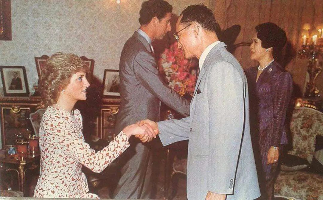 屈膝礼|27岁戴安娜拜见泰王,行屈膝礼目光温柔,国王对美女王妃关切欣赏