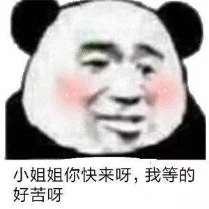 对女朋友发的表情包合集