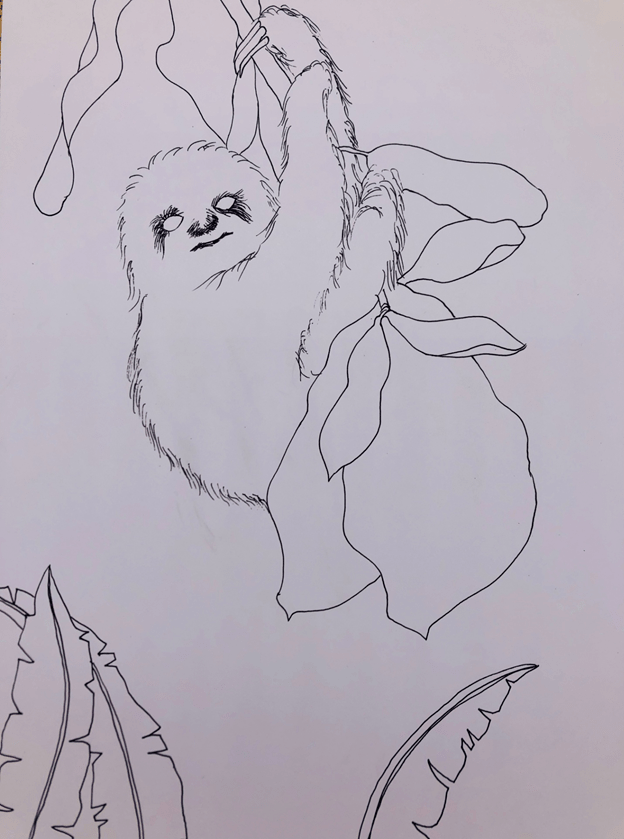 初级学画画|学画画入门步骤|初级画画入门基础视频!