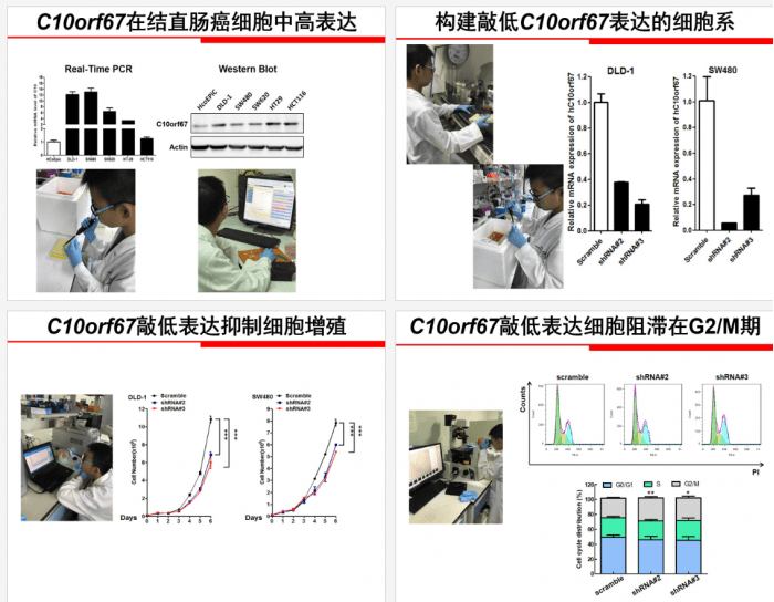 获奖|中科院回应小学生研究癌症获奖：系研究员之子 已成立调查组