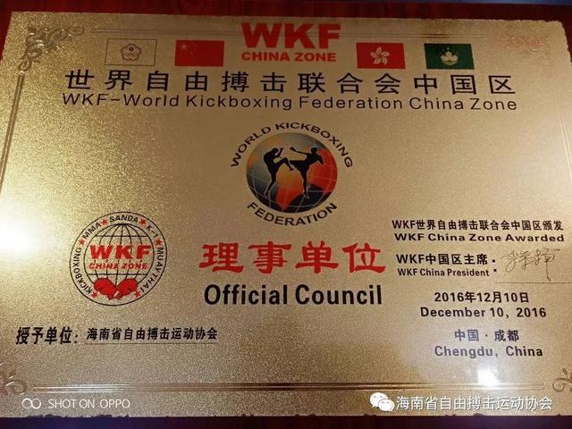 海搏会也是最先在国内外推广自由搏击段位的省级自由搏击协会,目前有
