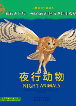儿童绘本故事推荐《夜行动物》