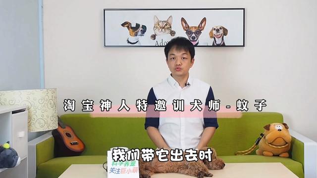 狗狗不让抱怎么办一抱就咬人