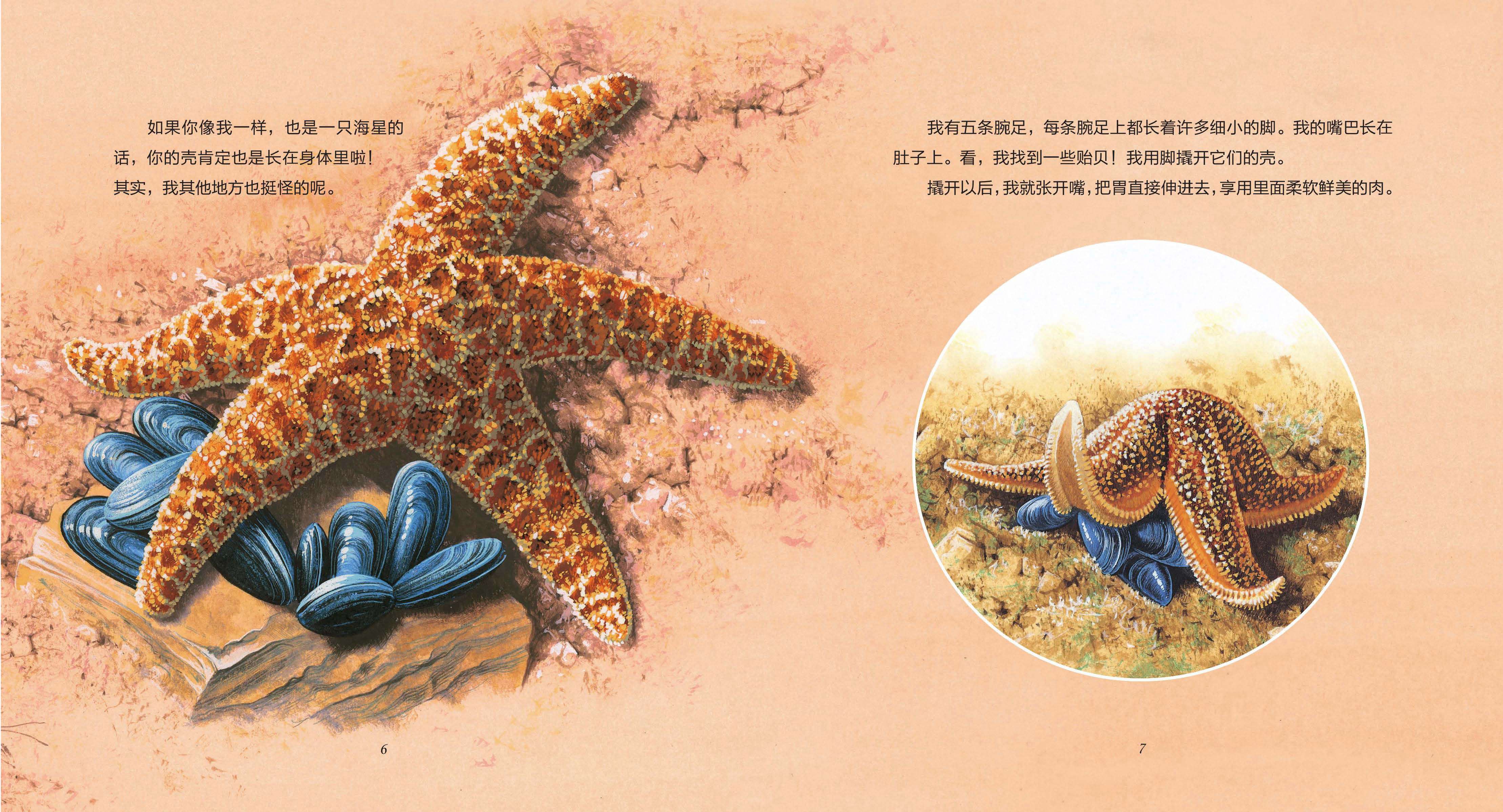 儿童绘本故事推荐《海洋生物》