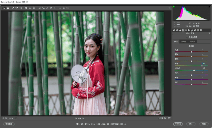 调整|探图摄影师专栏｜古装竹林人像调色详解