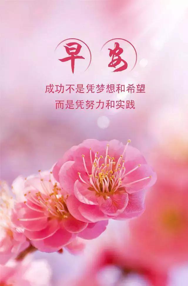 a7ed8ab9ef7149c6bc0739cafeb42f79.jpeg