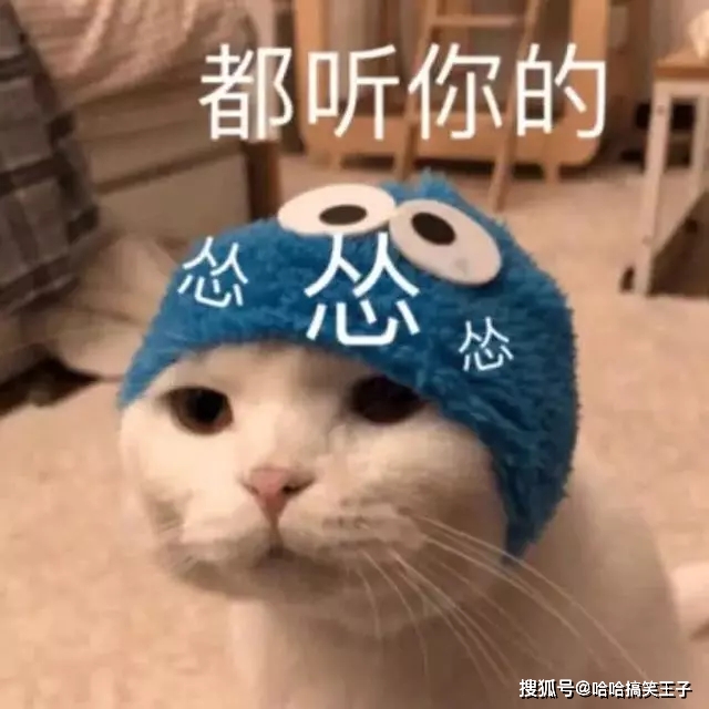 原创11张"肉麻到炸"的表情包,撩到她冲上来"咬你"!