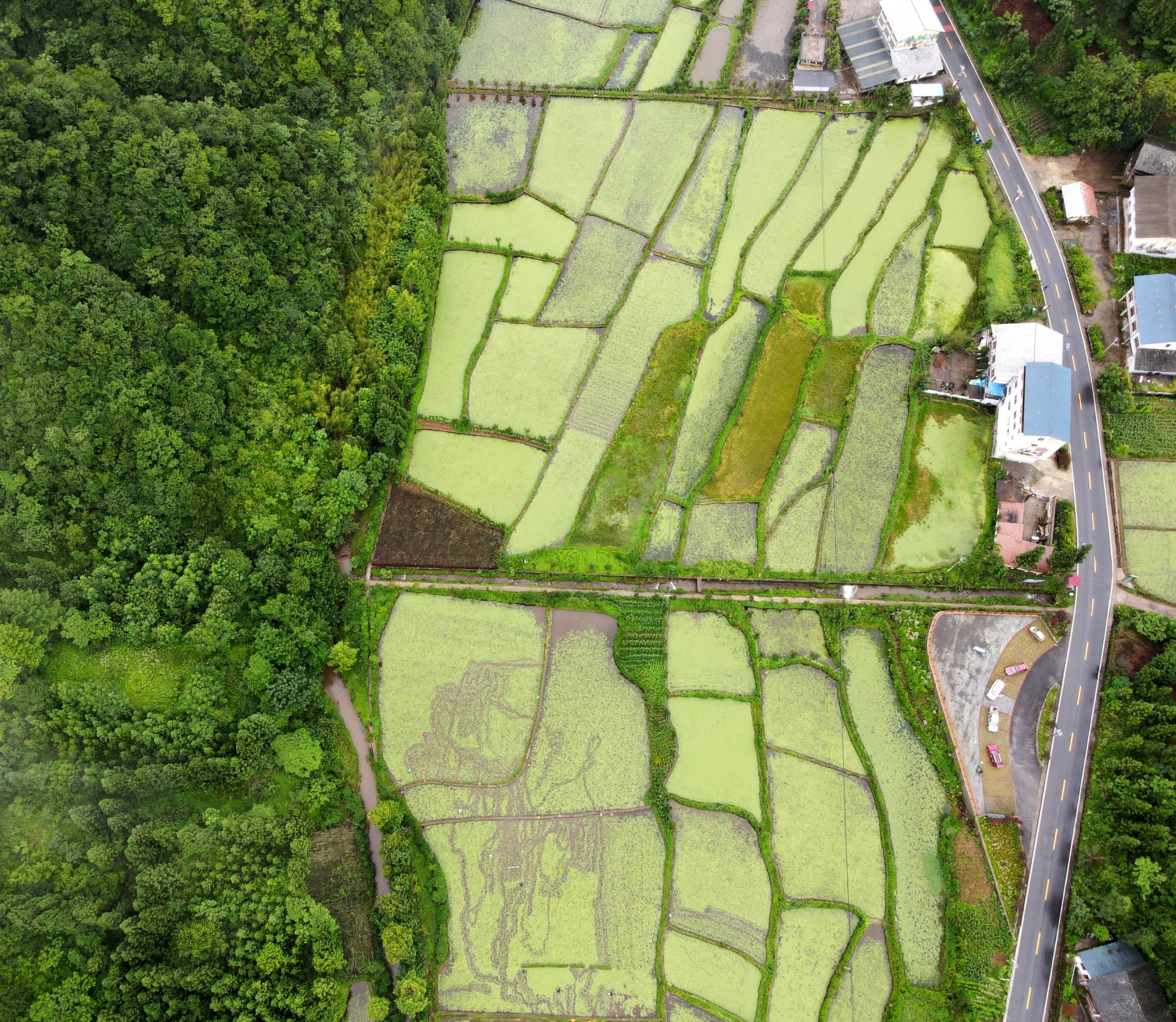 重庆市石柱县临溪镇总人口_重庆市石柱县临溪镇(2)