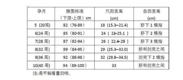 调整:如果宫高值与孕周数相差很大,那么就需要做进一步的检查,排查