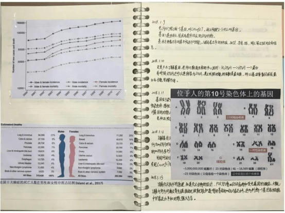 小学生基因论文获奖被撤销：请留给孩子一个干净的世界！