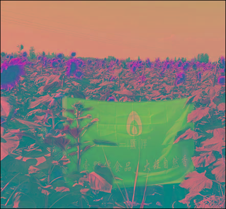 原料|恭喜一颗伴品牌加入微云展，2020掘金社交新零售！