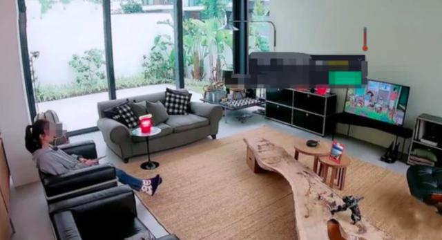 章子怡2亿豪宅曝光，游戏厅游泳池应有尽有，宠