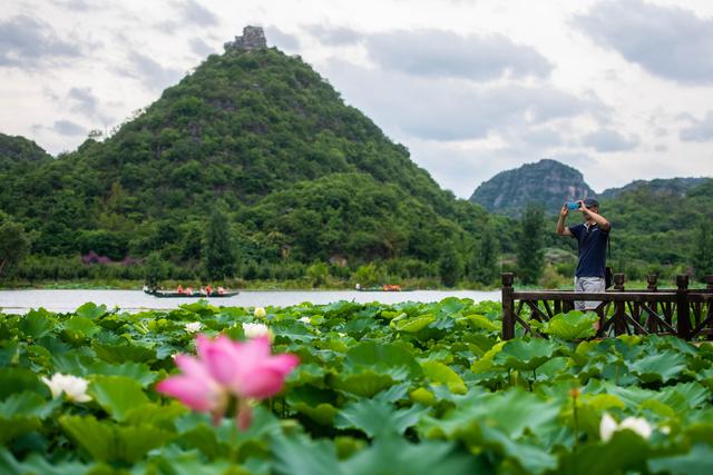 集国家级风景名胜区,国家4a级旅游区,国家湿地公园为一体的普者黑