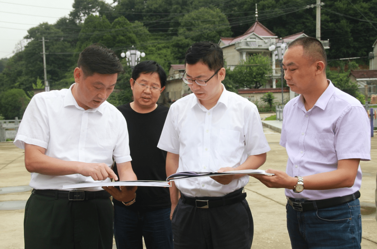 舒城县委常委,副县长杨丙红到河棚镇调研指导乡村旅游业发展工作