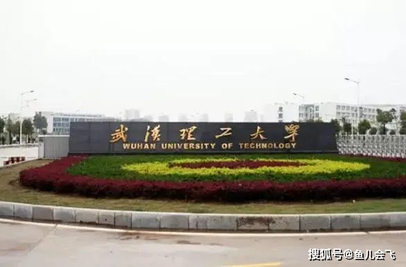 武汉最强三大高校 99a702df959f48b48fb25a74493840aa.jpeg
