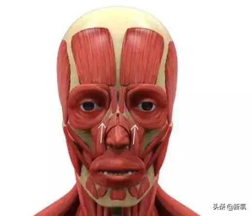 区花|杨紫青簪行被嘲照骗，生图剧照判若两人，她的修图师太难了！