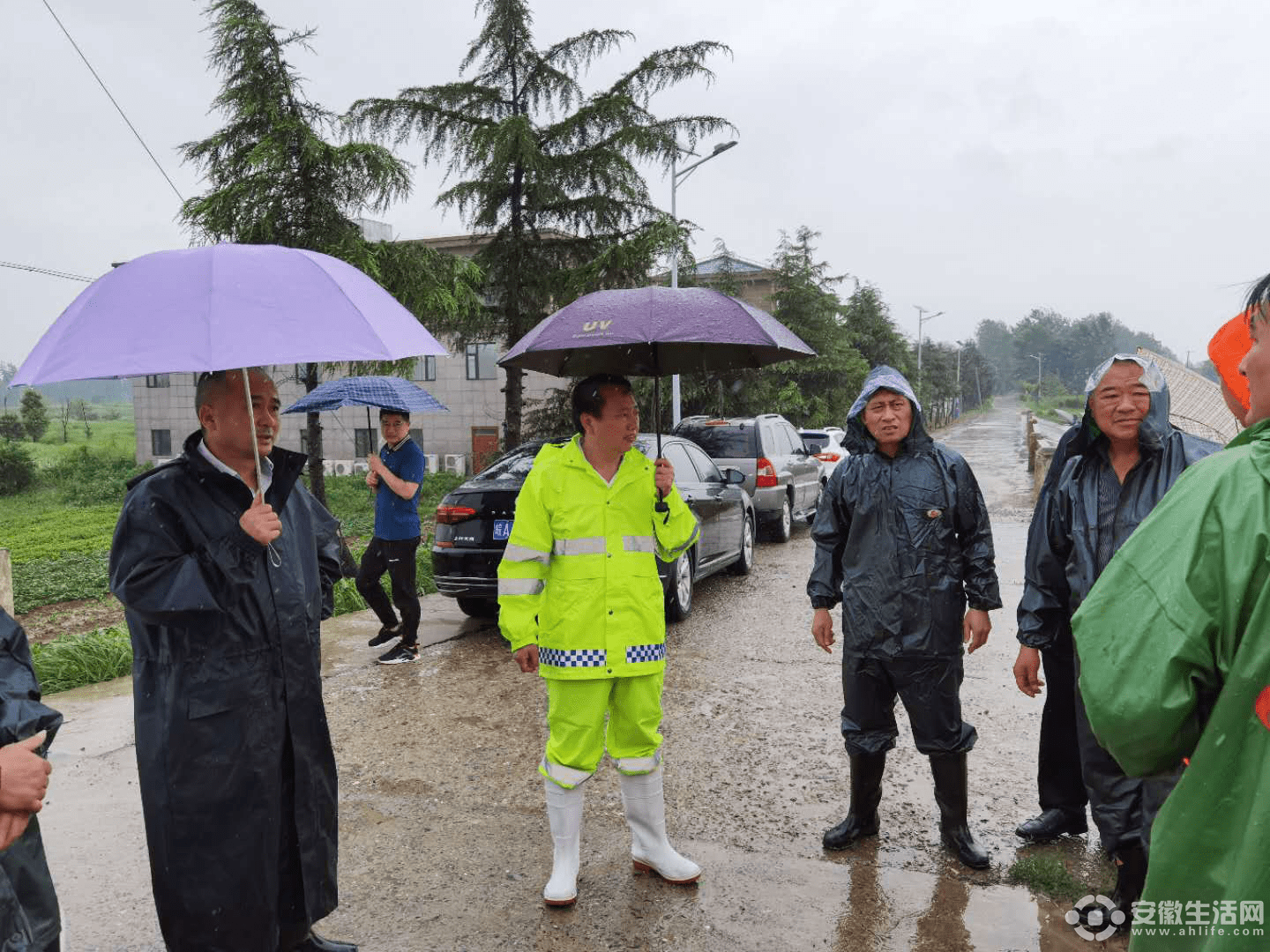 白龙镇人口_千与千寻白龙