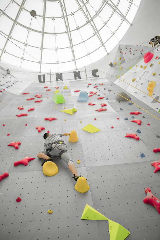 宁诺|超30%深造学生进入全球TOP10高校！这所新型大学备受瞩目