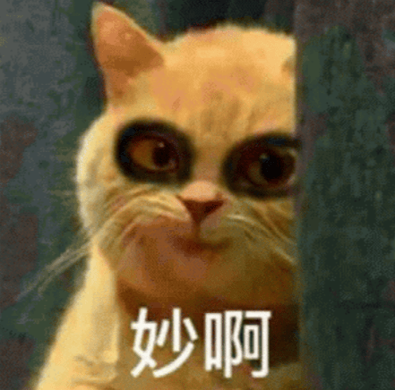 惹毛|想惹毛一个人，你就玩儿命学他说话！