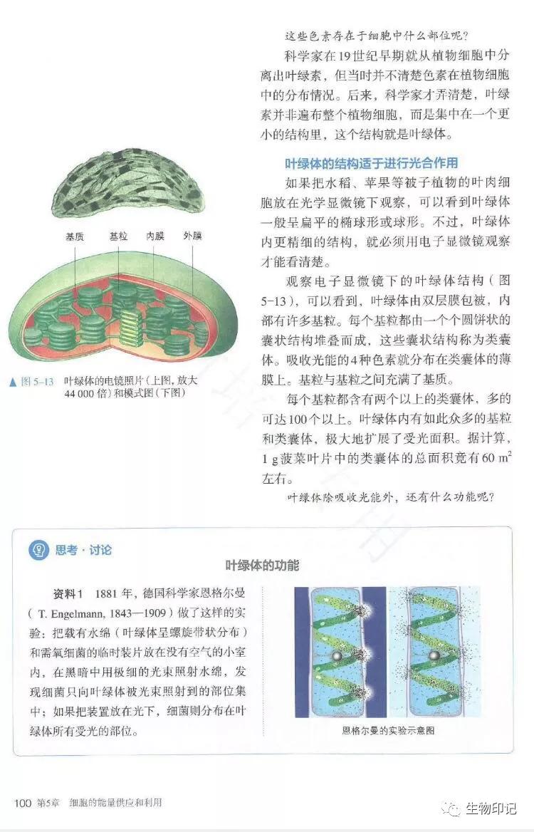 2019新人教版高中生物必修1《分子与细胞》电子课本(高清pdf版)