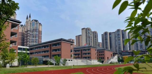 实验|高新区银都紫藤初中学校初2023届新生亮相