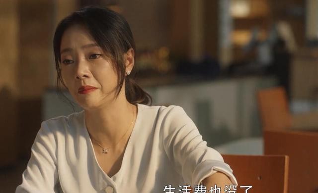 三十而已演员表顾佳 e7be9ac444de40ffbc27aefb0e1bdc16.jpeg