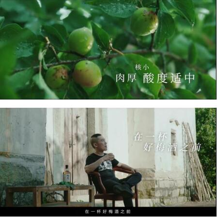 梅见|一颗青梅撬动佐餐酒新风口，梅见青梅酒和年轻人有多对味？
