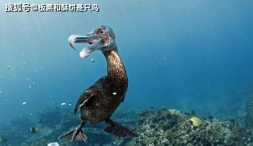 5508d9a9b9d0410a85ebf4e08997c995.jpeg