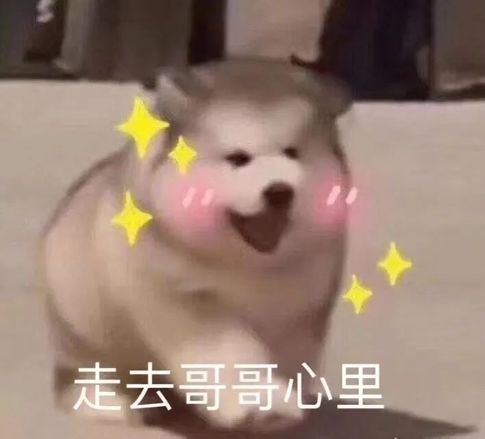 消息资讯|2020河北省高考一分一档表出炉，专接本也快了（内含志愿填报攻略）