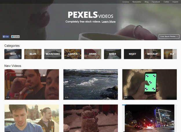 pexels videos