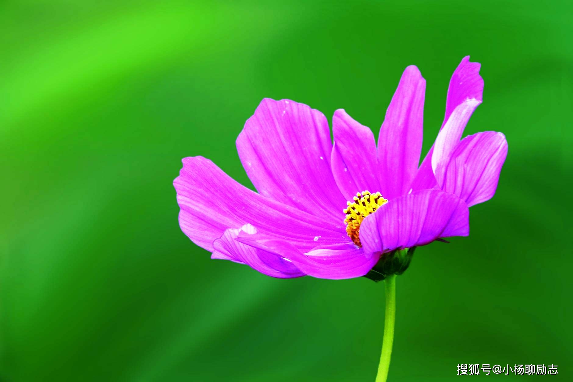 唯美有深意的说说句子,意境深厚,句句蕴含哲理