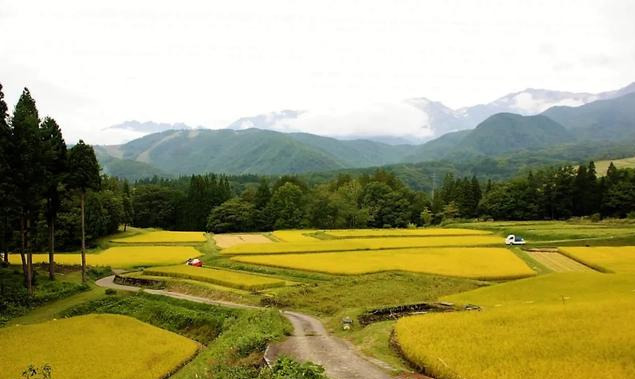 日本小谷村,中国乡村振兴的标杆