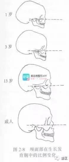 尤物|顶级美艳尤物都是清一色梯型侧颜骨相?