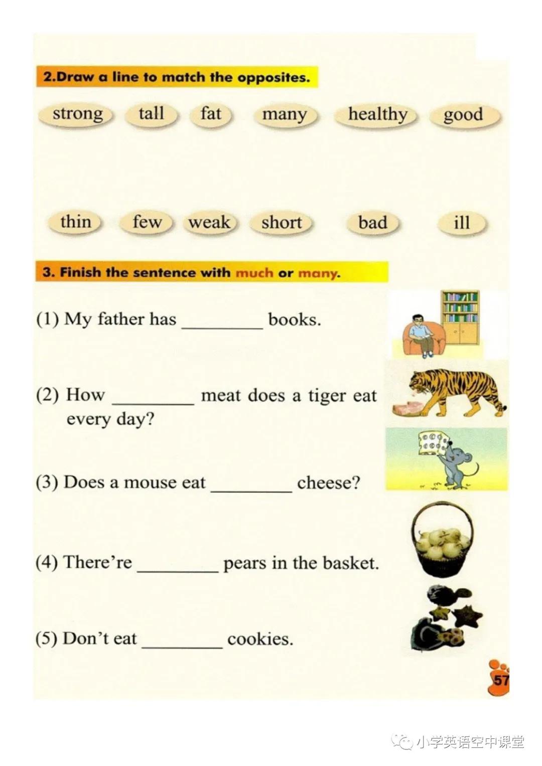 af7ebeb919f74c31a70204759450c02f.jpeg