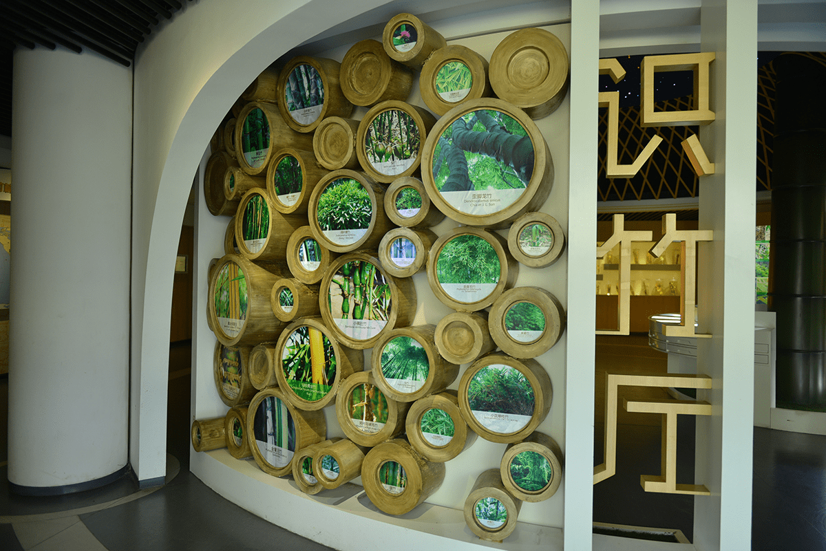 研学安吉竹博园丨以品竹之名,感受千年竹文化之魅力