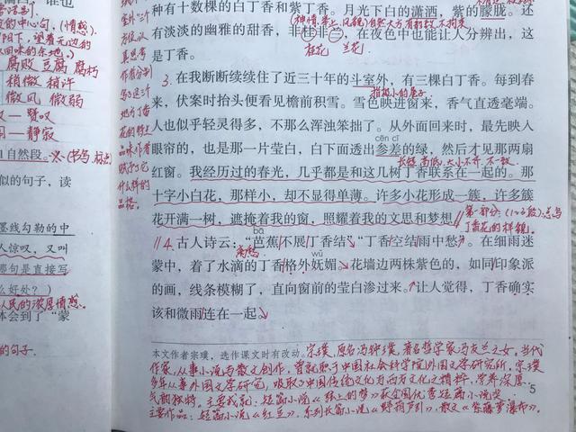 六年上册《丁香结》,资深教师手写笔记,帮助学生学好语文