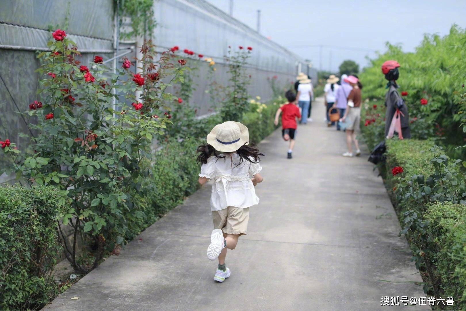 孙俪晒妹妹背影神似“森碟”,同是风一样的女子