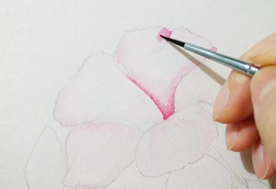 【推荐】零基础水彩画入门教学视频|水彩基础画法教程