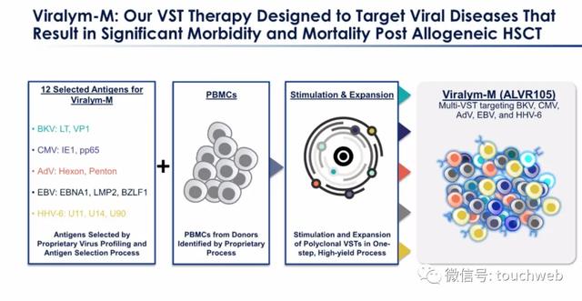 Leerink|原创医药公司AlloVir冲刺美股：拟募资2.5亿美元 路演PPT曝光