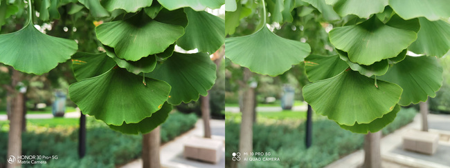 竞技|一亿像素小米10 Pro和RYYB超大底荣耀30 Pro+同台竞技，拍照谁才是真Pro？