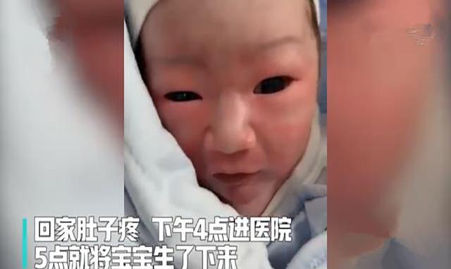 成语气什么舌_等什么君